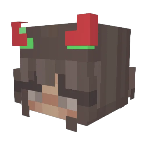 Tigress3011 Minecraft avatar head, 3D render
