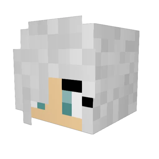TigressF0X Minecraft avatar head, 3D render