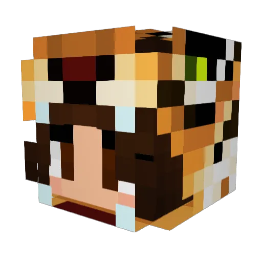 Tigress_Gamer Minecraft avatar head, 3D render