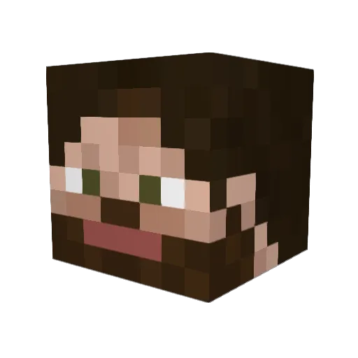 Tigrex5432 Minecraft avatar head, 3D render