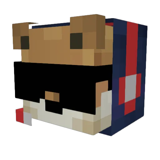 TigrinhuA19 Minecraft avatar head, 3D render