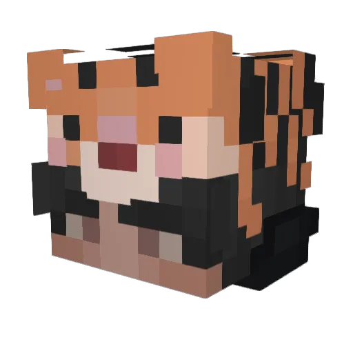 Tigrou577 Minecraft avatar head, 3D render