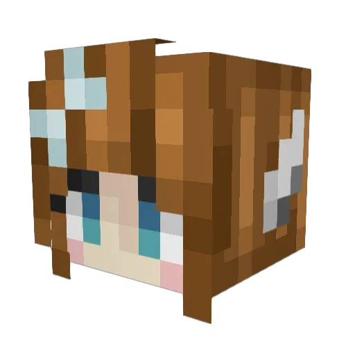 Tigrs_1102 Minecraft avatar head, 3D render
