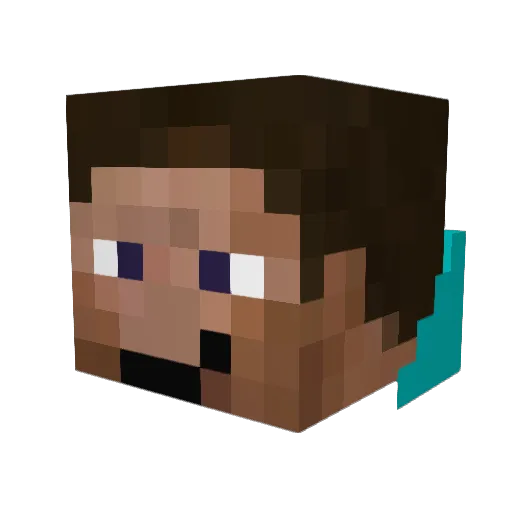 Tigs2 Minecraft avatar head, 3D render