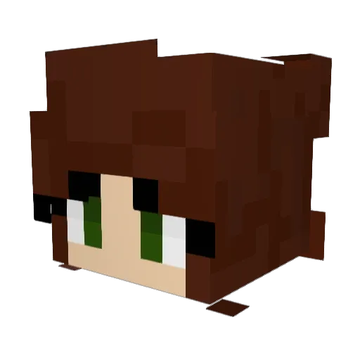 Tigunite Minecraft avatar head, 3D render