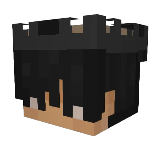 Tigurn Minecraft avatar head, 3D render