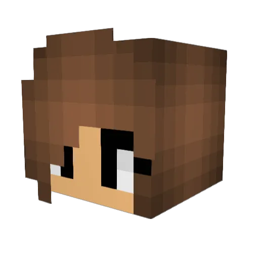TigzXD Minecraft avatar head, 3D render