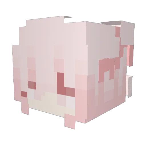 Tii188 Minecraft avatar head, 3D render