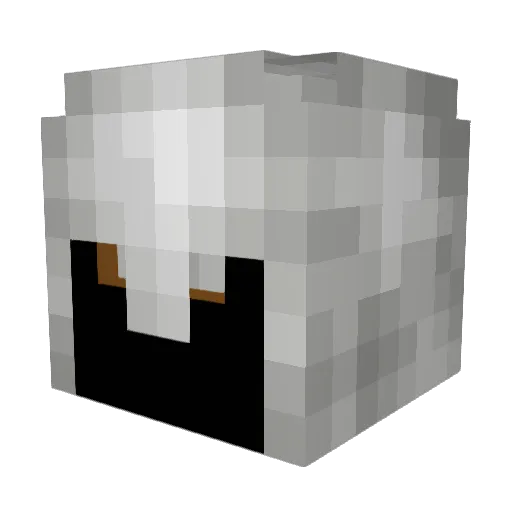TiiQu Minecraft avatar head, 3D render