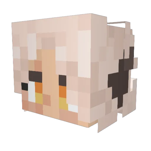 Tii_Vii Minecraft avatar head, 3D render