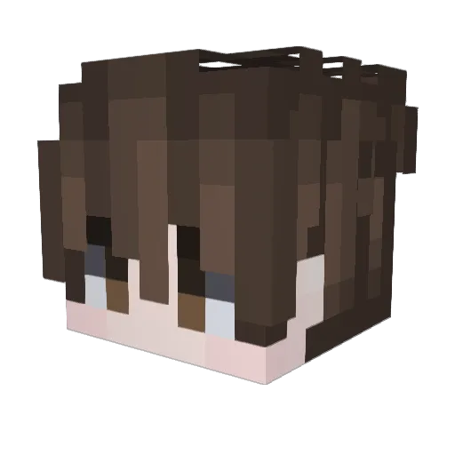 Tii_Wiwi Minecraft avatar head, 3D render