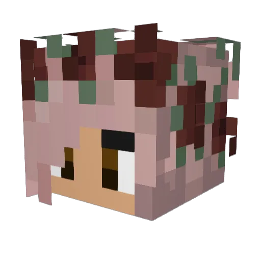 Tiiaa_ Minecraft avatar head, 3D render