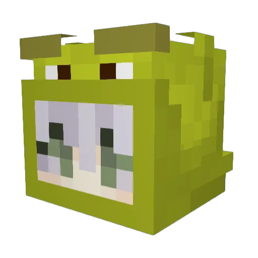 Tiiah Minecraft avatar head, 3D render