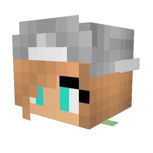 Tiibarbie Minecraft avatar head, 3D render