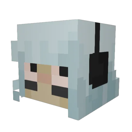 Tiiddo Minecraft avatar head, 3D render