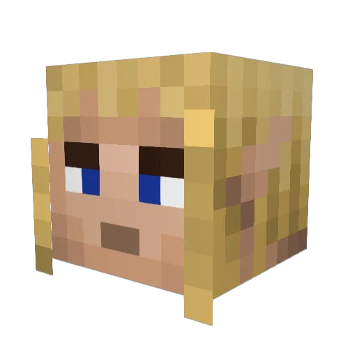 Tiiicall Minecraft avatar head, 3D render