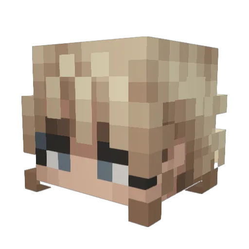 Tiikerimon Minecraft avatar head, 3D render