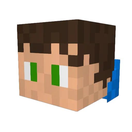 Tiiku23 Minecraft avatar head, 3D render