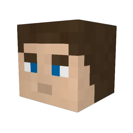 Tiim7 Minecraft avatar head, 3D render