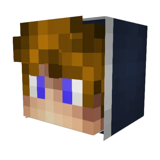 Tiimewinder Minecraft avatar head, 3D render