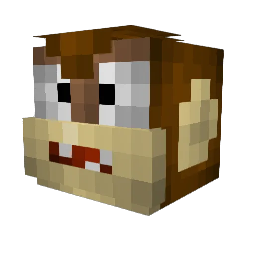 Tiimmah Minecraft avatar head, 3D render