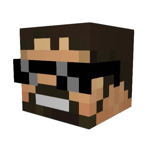 Tiingster Minecraft avatar head, 3D render