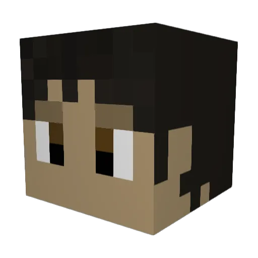 Tiintedremix Minecraft avatar head, 3D render