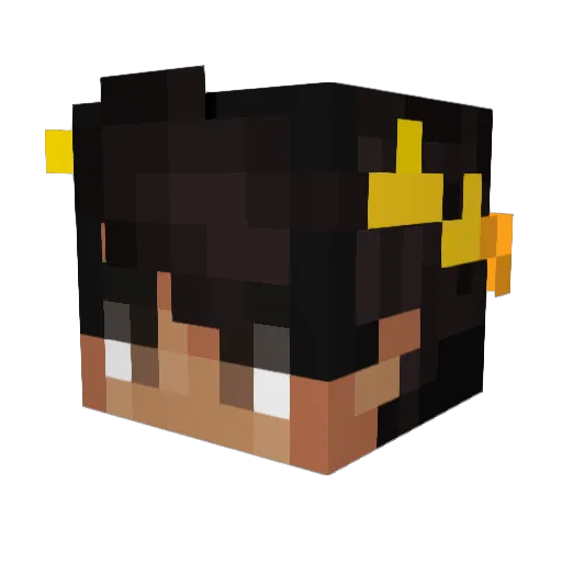TiinyDuckling Minecraft avatar head, 3D render