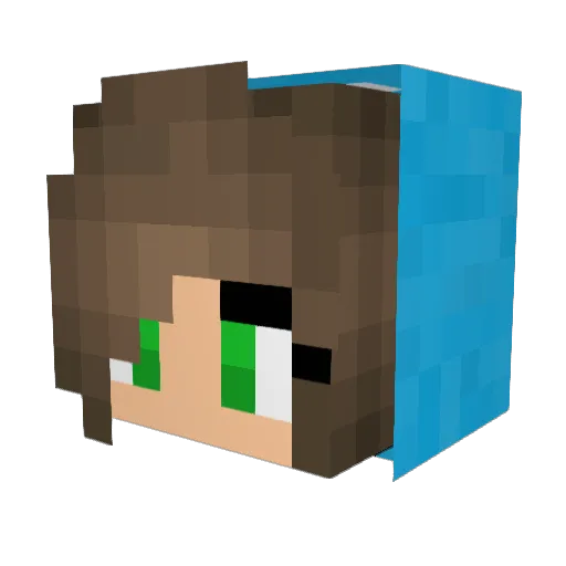 Tiixa02 Minecraft avatar head, 3D render
