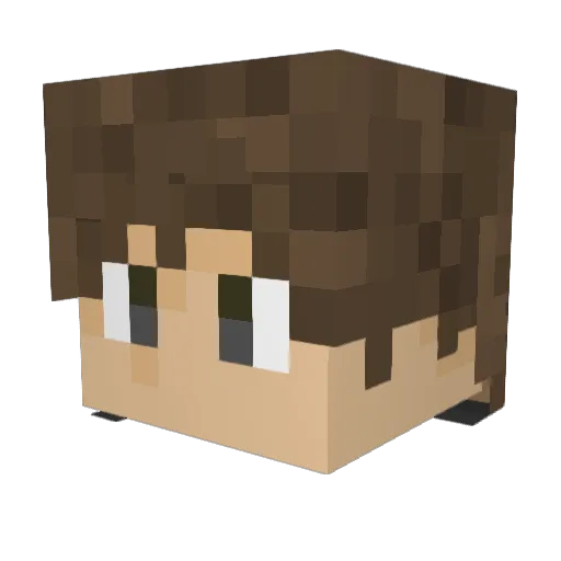 Tijerina99 Minecraft avatar head, 3D render