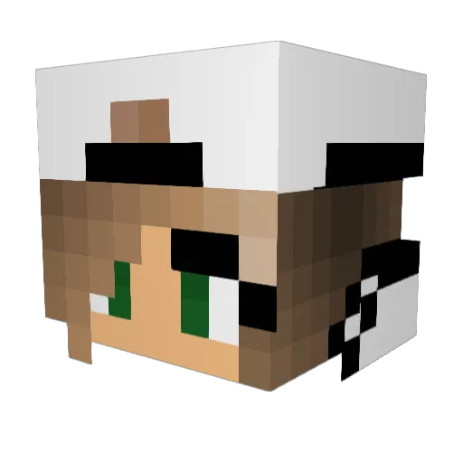 TijgerQueen Minecraft avatar head, 3D render
