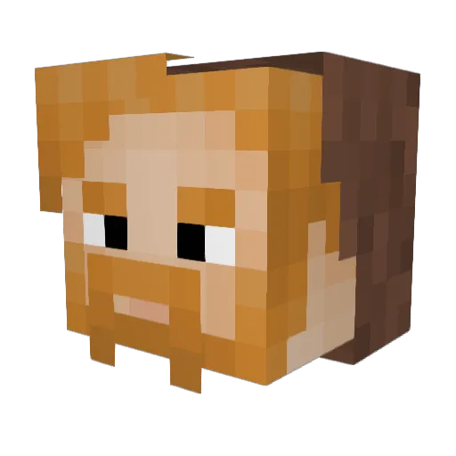 Tijgerman125 Minecraft avatar head, 3D render