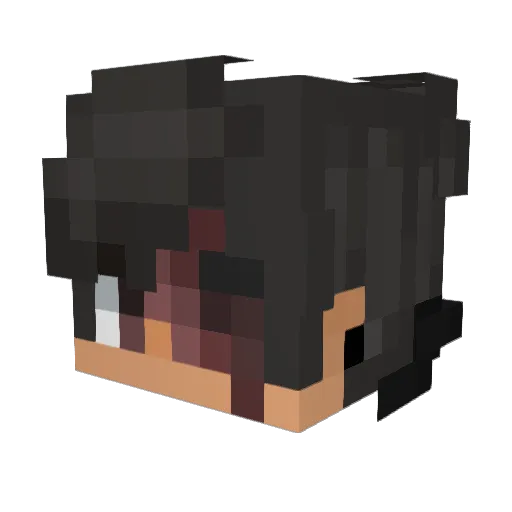 TijmenDeEngeMan Minecraft avatar head, 3D render