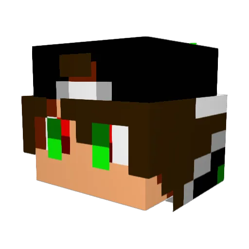 TijmenGamesYT Minecraft avatar head, 3D render