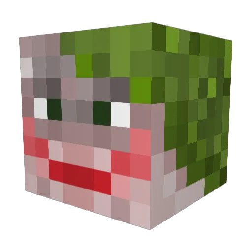 Tijmen_2001 Minecraft avatar head, 3D render
