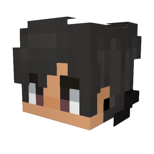 Tijmxn Minecraft avatar head, 3D render