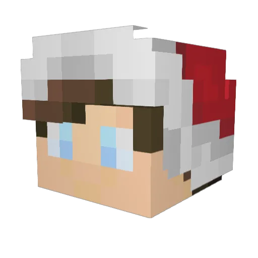 Tijn10gaming Minecraft avatar head, 3D render