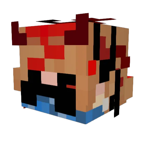 TijnAG07 Minecraft avatar head, 3D render
