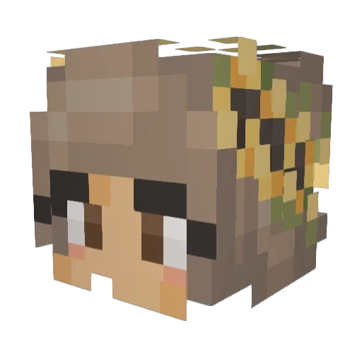 TijnKleis Minecraft avatar head, 3D render