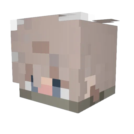 Tijn__ Minecraft avatar head, 3D render