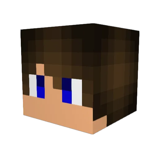 Tijnoooh Minecraft avatar head, 3D render