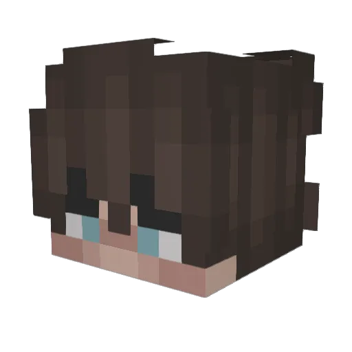 Tijqerr Minecraft avatar head, 3D render