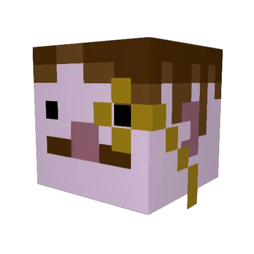 TijsMeneer Minecraft avatar head, 3D render