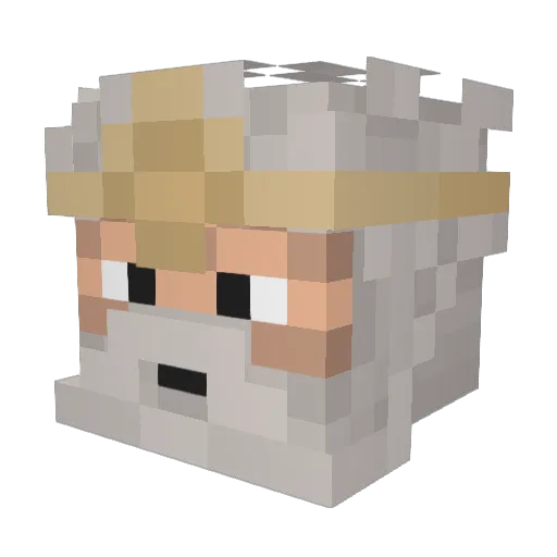 Tikanni78 Minecraft avatar head, 3D render