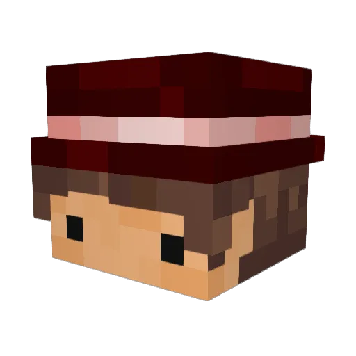Tikerook Minecraft avatar head, 3D render