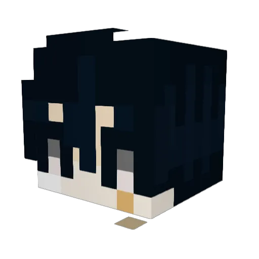 Tiki115 Minecraft avatar head, 3D render