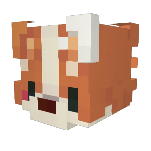 Tiki_77 Minecraft avatar head, 3D render