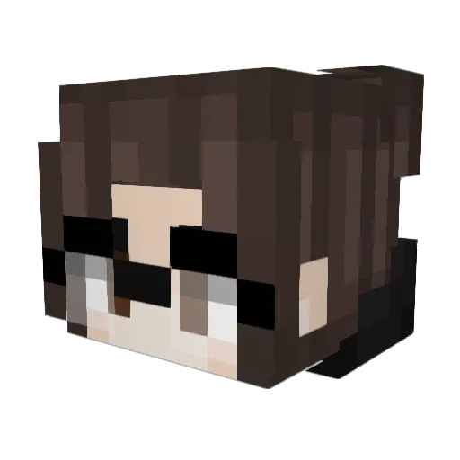Tikkiace Minecraft avatar head, 3D render