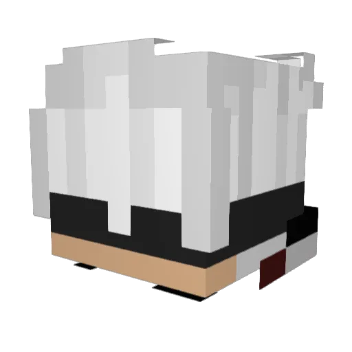 Tikwan Minecraft avatar head, 3D render