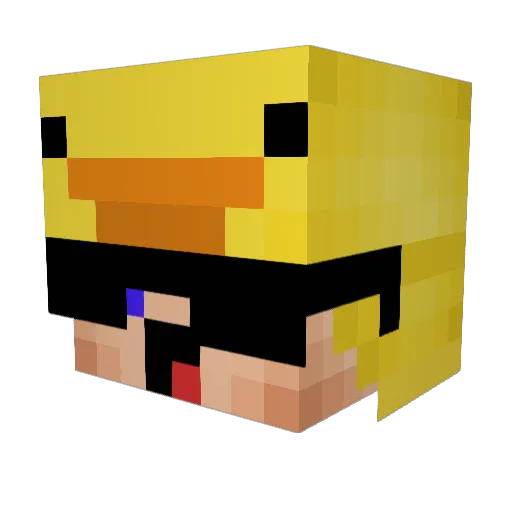 Til3006 Minecraft avatar head, 3D render